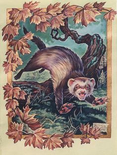 a painting of a ferret in the woods with autumn leaves around it's edges