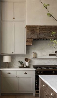 a kitchen with white cabinets and marble counter tops is pictured in this image, there are plants on the stove