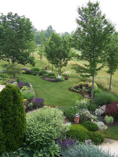 a lush green yard with lots of trees and bushes