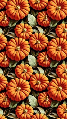 many orange pumpkins with green leaves on them