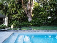 Modern Swimming Pool, Alexander Palms, Best Beach Chair, Tropical Garden Design, Pool Design