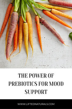 What are prebiotics and what can they do for your body? Click over to find out more... Types Of Fibres, Whole Grains, Beneficial Bacteria, How To Find Out