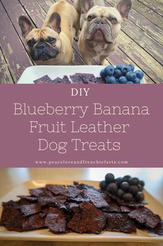 Two dogs admiring their home-made blueberry banana fruit leather dog treats. Dog Treats That Last A Long Time, Dehydrated Dog Treats Recipes Homemade, Dehydrate Dog Treats, Fruit Treats For Dogs, Dog Jerky Recipes, Dehydrating Dog Treats, Dehydrated Dog Food Recipes, Dehydrator Dog Treat Recipes, Dehydrated Treats For Dogs