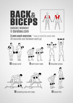 the back and biceps exercise poster shows how to do dumbbles with one hand