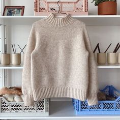 a sweater hanging on a shelf in front of a potted plant and other items