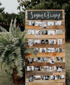 a wooden sign with photos on it and a potted plant in the foreground