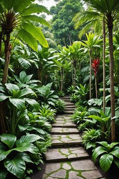 a stone path surrounded by tropical plants and trees