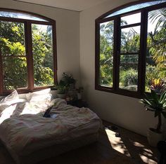 an unmade bed sitting in front of two windows with plants on the other side