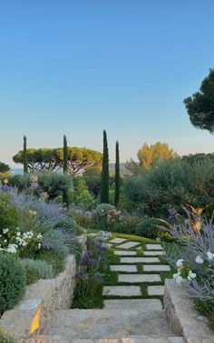 an outdoor garden with stone steps leading up to trees and flowers on either side of the path