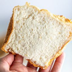 a person holding a piece of bread in their hand