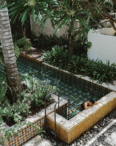 an outdoor swimming pool surrounded by greenery and rocks, with two people laying in it