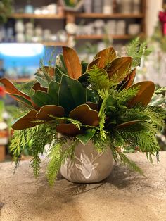 a potted plant sitting on top of a table