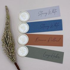 four different colored labels with writing on them next to a dried plant and some other items