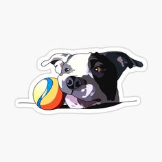 a black and white dog laying down with a ball in it's mouth sticker