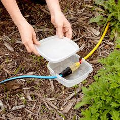 a person holding a plastic container filled with water and an extension cord to the ground