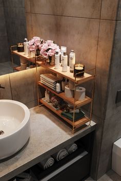 a bathroom with a sink and shelves in it