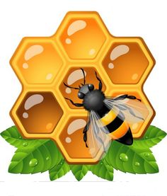 a bee sitting on top of a green leaf next to a honeycomb with two bees