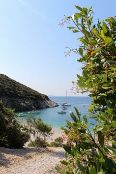 boats are in the water near some trees and bushes on a sunny day with clear blue skies