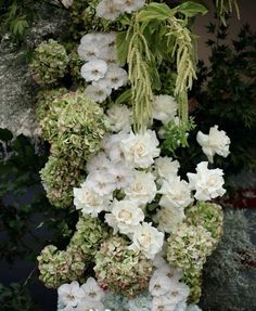 white and green flowers growing on the side of a building