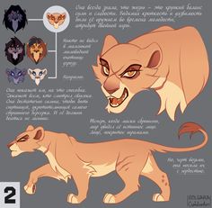 an illustrated guide to how to draw the lion from disney's live - action movie