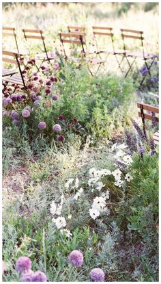 rows of wooden benches sitting in the middle of a field filled with purple and white flowers