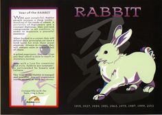 the back side of an advertisement for rabbits