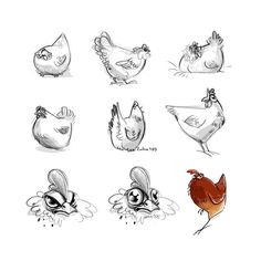 several different types of chickens on a white background with black and white ink drawing technique