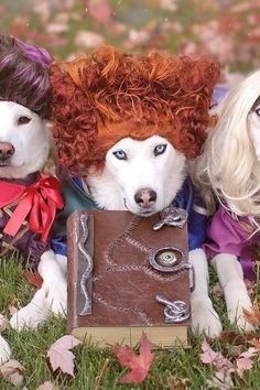 three dogs dressed up in costumes laying on the ground with leaves around them and one dog wearing wig