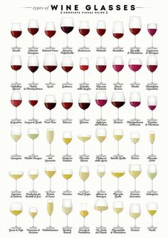 a wine glass chart with different types of glasses in each one, including red and white wines