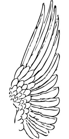 a black and white drawing of a bird with wings