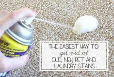 a hand is holding a spray bottle with the word, the fastest way to get rid of old men's pet and laundry stains