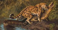 a painting of a leopard attacking a crocodile