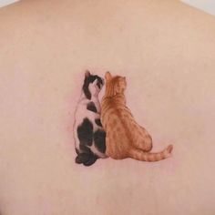 two cats sitting next to each other on the back of a woman's shoulder