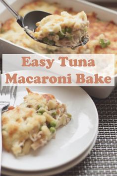 an easy tuna macaroni and cheese bake on a plate with a fork