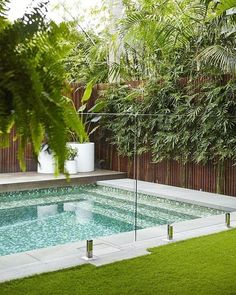 an outdoor swimming pool surrounded by greenery and wooden fenced in area with potted plants