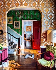 a cat is laying on the floor in front of a red door and green wall