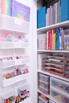 an organized closet with plastic bins and shelves filled with crafting supplies for kids