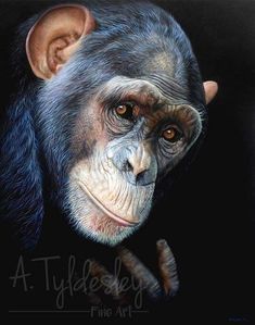 a painting of a chimpan face on a black background