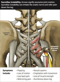 If You're In Pain, START HERE. 10 Exercises for Back and Hip Pain You Should Be Doing Now. Do This 5 minute Exercise When It Hurts to Stand. Your Hip Flexors and Hamstrings Can Hurt Your Back. The Best Tips for Back Spasms. An Easy Stretch To Relieve Glute (Butt) Muscle Pain. Conquer Your Morning Stiffness. Back Spasm, Referred Pain, Chronic Lower Back Pain, Craniosacral Therapy, Sciatic Nerve Pain, Sciatic Nerve, Joints Pain Relief