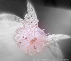 a pink flower with white lace on it