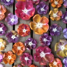 many different colored flowers on a wooden surface