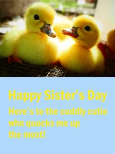 two little yellow ducks sitting next to each other on a blue and white card with the words happy sister's day here's to the cudddy cuteest who sucks me up the most