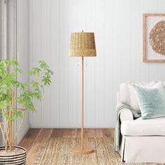 a living room with a couch, lamp and potted plant on the floor in front of it