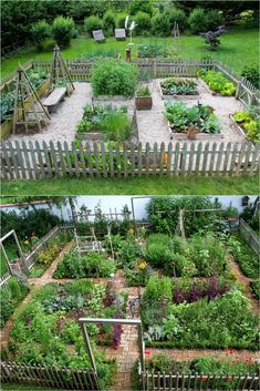 the garden is full of different types of vegetables