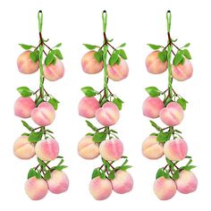 peaches with green leaves hanging from them on a white background, set of six