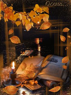 an open book sitting on top of a pile of leaves next to a lit candle