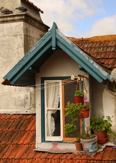 an image of a small house with potted plants in the window sill and on the roof