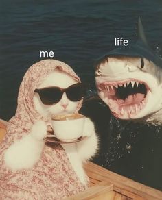 two people in a boat with shark heads on their faces and one holding a coffee cup