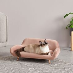 a cat sitting on top of a pink chair