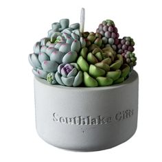 there is a small potted plant in the shape of a cup that says, southlake city